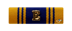 해군 작전전비 E